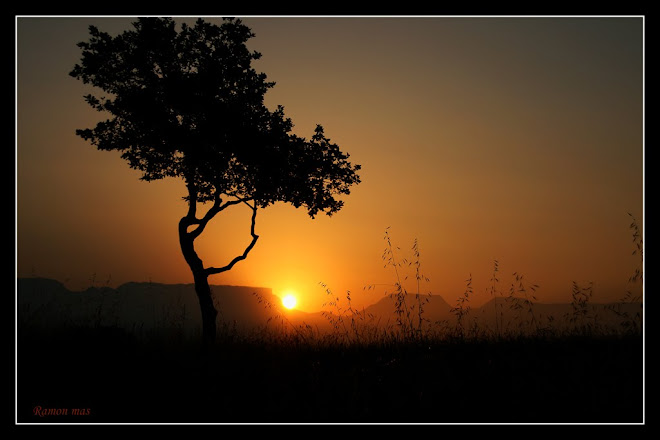 SORTIDA DE SOL AL COLLSACABRA