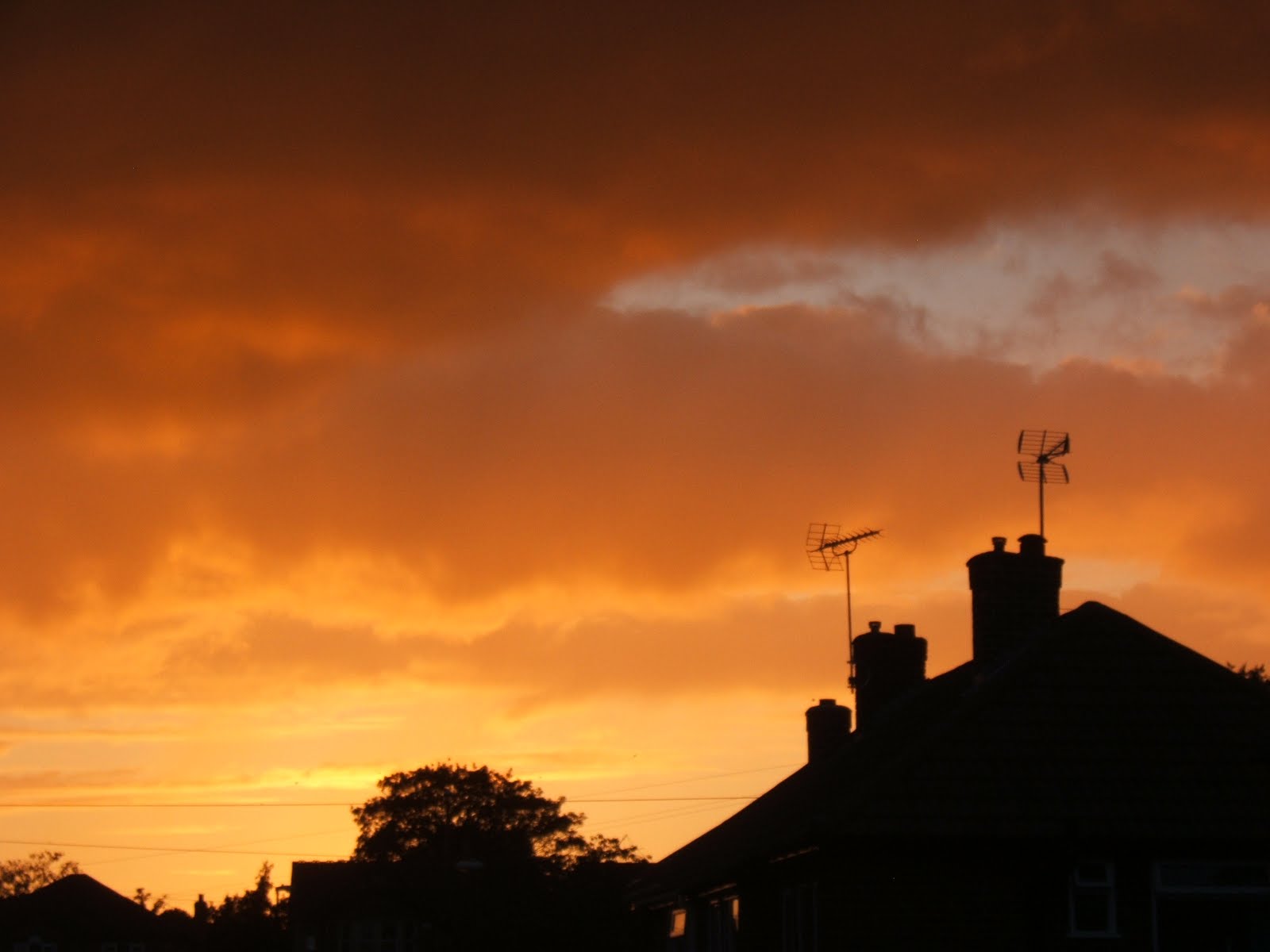 orange skies
