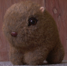 Wombat has a surprise for you!