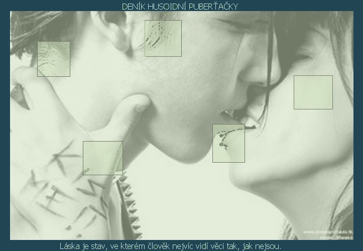 Deník husoidní puberťačky