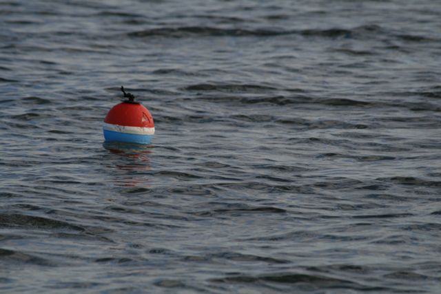Slow Boat: Feeling Crabby?