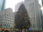 Rockefeller tree