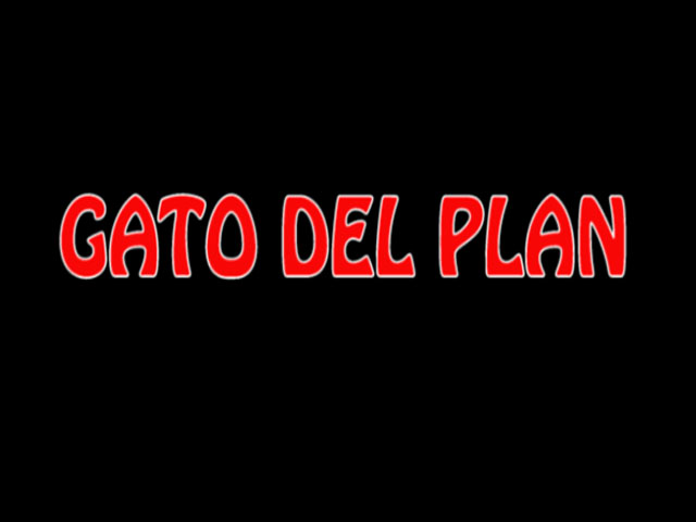 Gato Del Plan