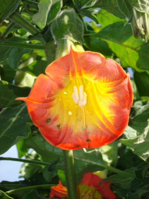 [Imagems+da+colonia+058.jpg]