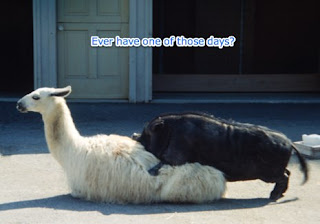 (c) Copyright 2009, J. Steve White, All rights reserved