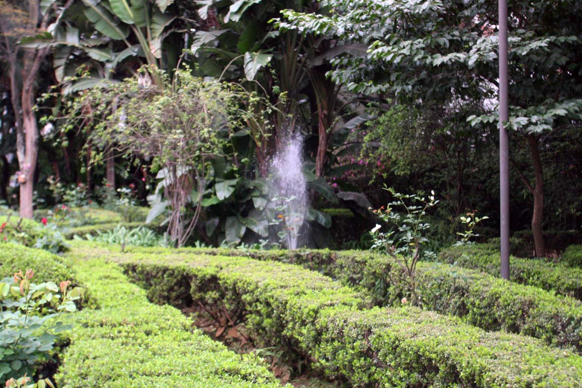 Jardim da Casa das Rosas Jardim da Casa das Rosas