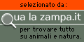 Clicca e votami!