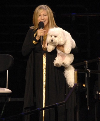 [barbrastreisand_samantha.jpg]