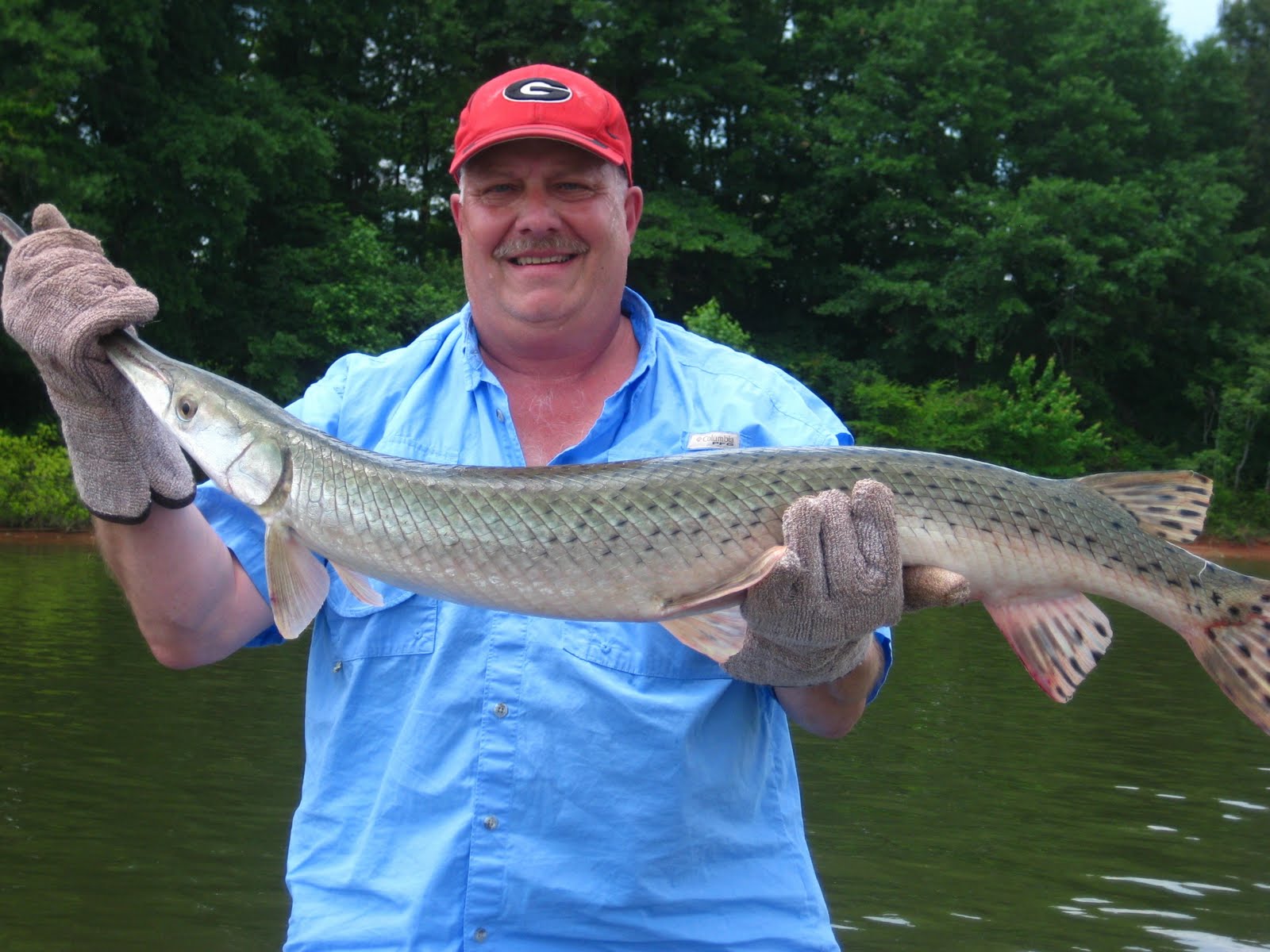 West Point Lake Gar Grabbers First Big Longnose Gar Of The 2010 Season