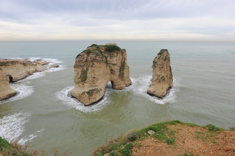 [DSC_2395.JPG]