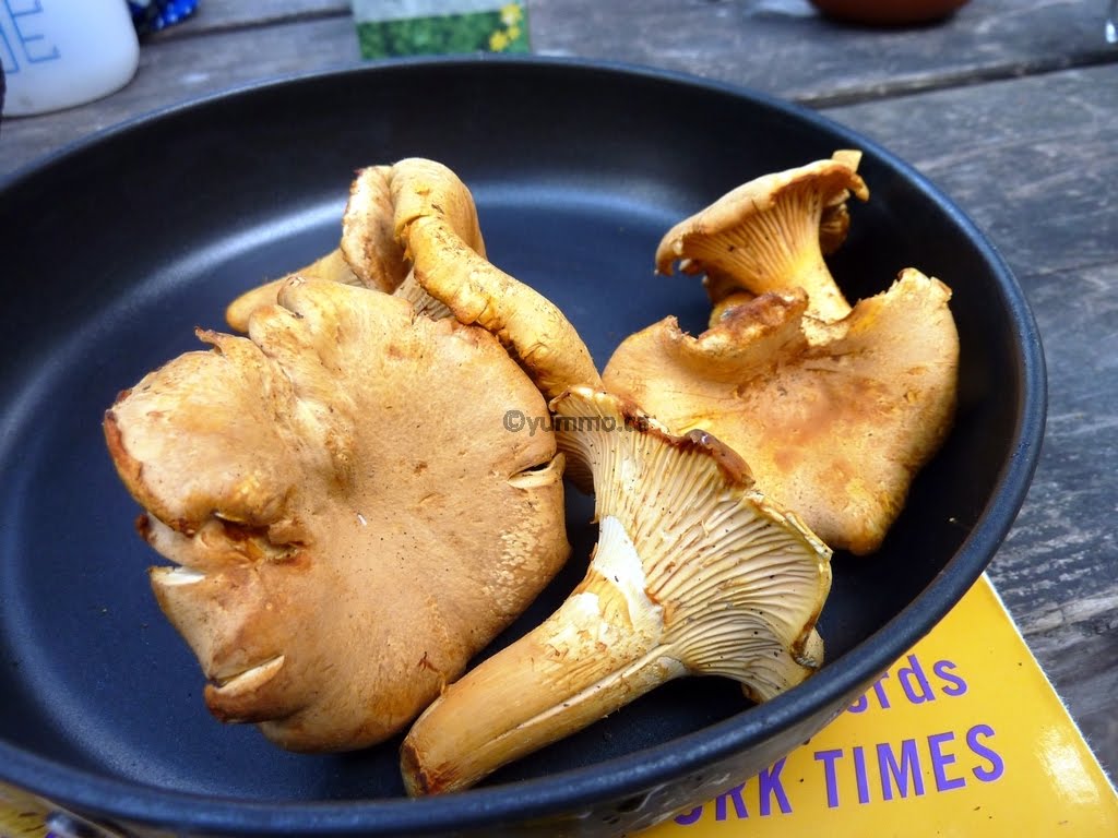 YUMMO 365 Days of Eating and Being Fed Sunday, Sep 5th Hiking Sandwiches and Chanterelles