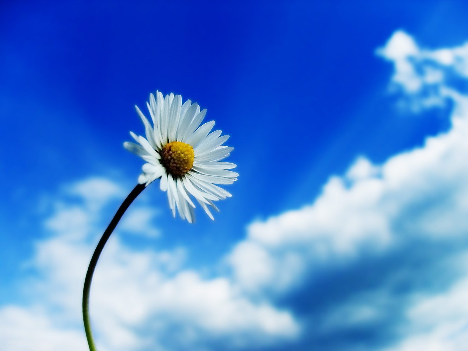 http://4.bp.blogspot.com/_OEoMxLAbG1A/TSsac6m_ISI/AAAAAAAAAQc/XlMo2LB9_N8/s1600/blue%2Bsky.jpg