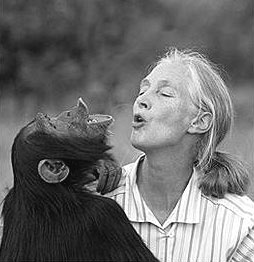 [jane-goodall.jpg]