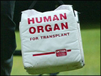 [transplant+bag.jpg]