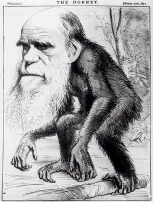 [darwin_getty_60009t.jpg]