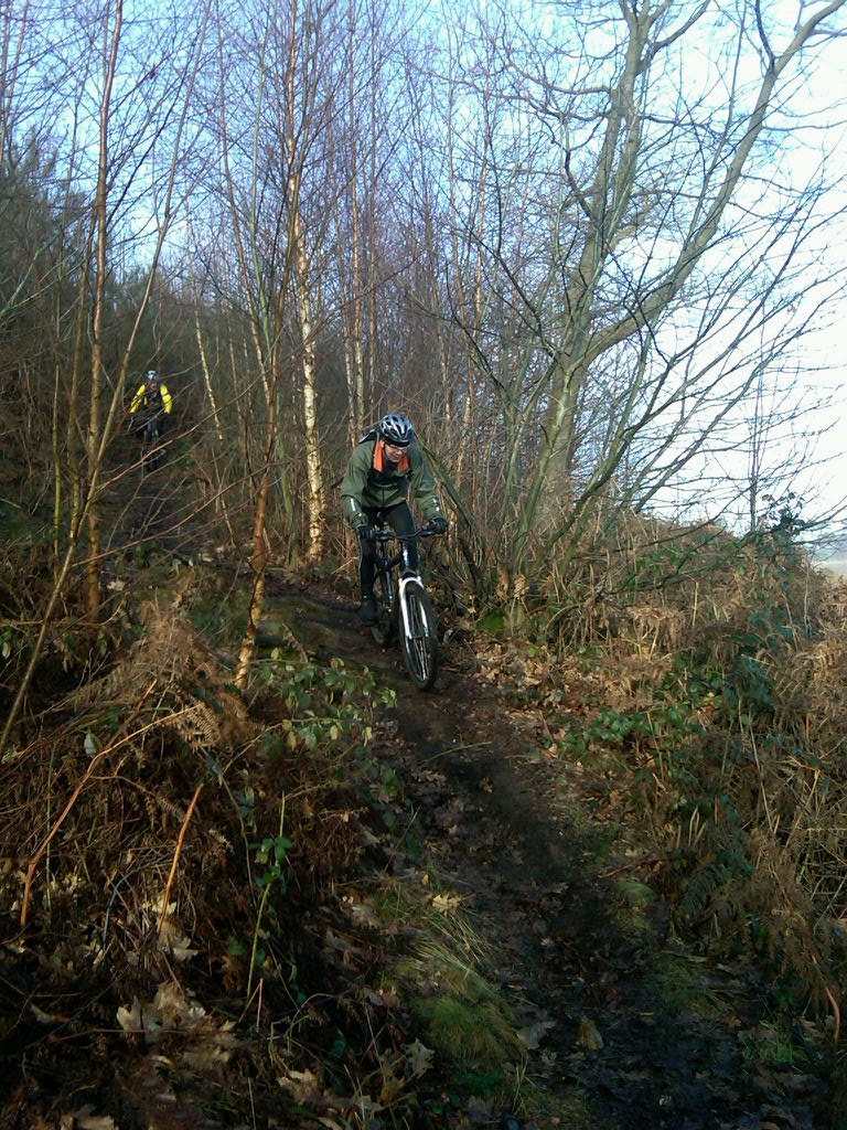 [Brian+primrose+2010.jpg]