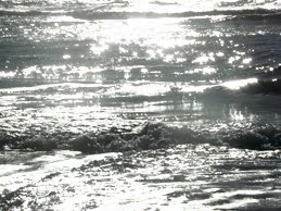 [light+on+water+9689+small.jpg]