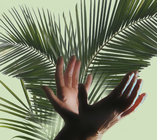 [palms+and+hands+small.jpg]