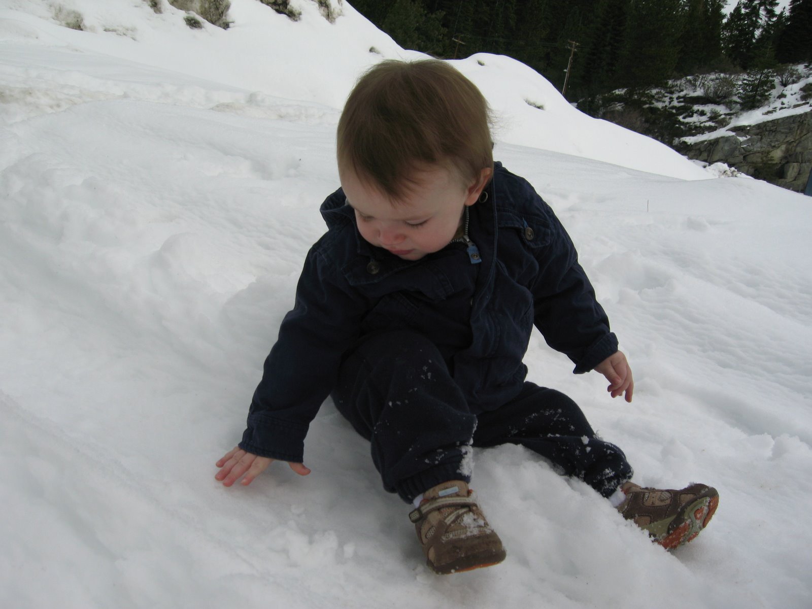 [IMG_2341.JPG]