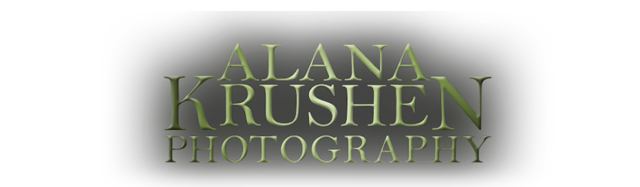 Alana Krushen Photography
