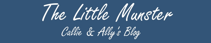The Little Munster Blog