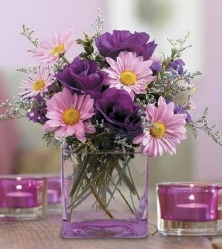 http://4.bp.blogspot.com/_OGEJJ_DDzdQ/SiixpaMY8EI/AAAAAAAAMe8/sxGMWSCZ4_0/S850-R/IMAGEN2.jpg