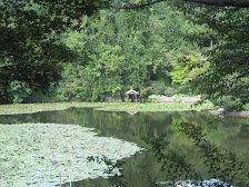 Ryoanji Temple, Kyoyochi Pond