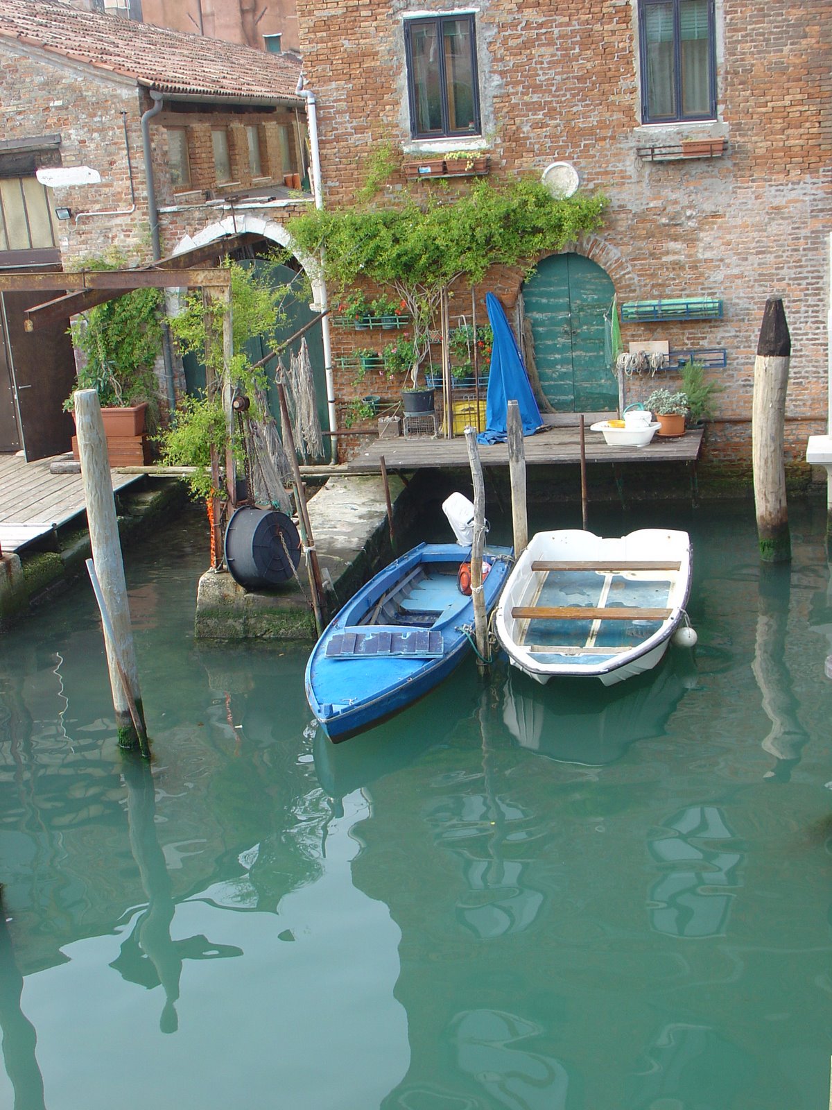[DSC06977.JPG]