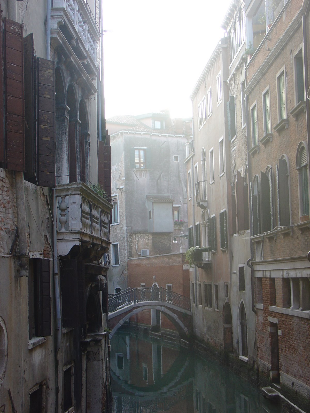 [DSC07011.JPG]