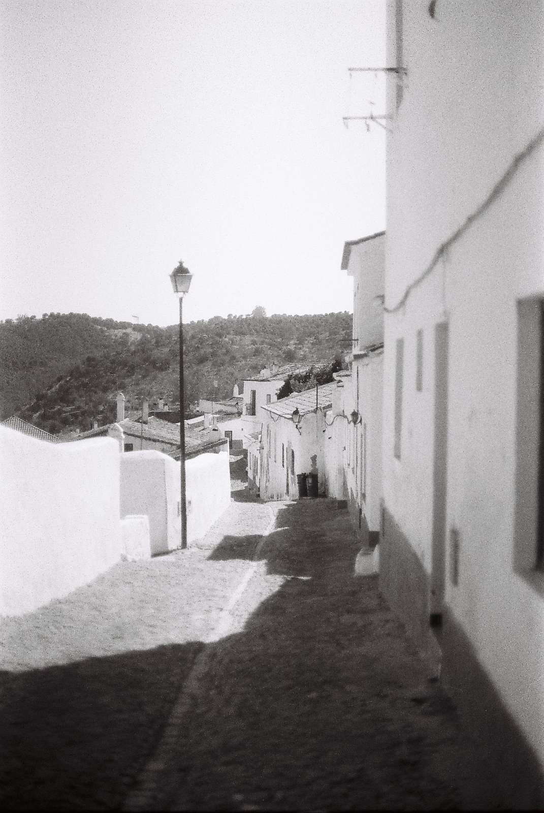 [F1000026.JPG]