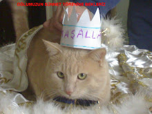My Photo