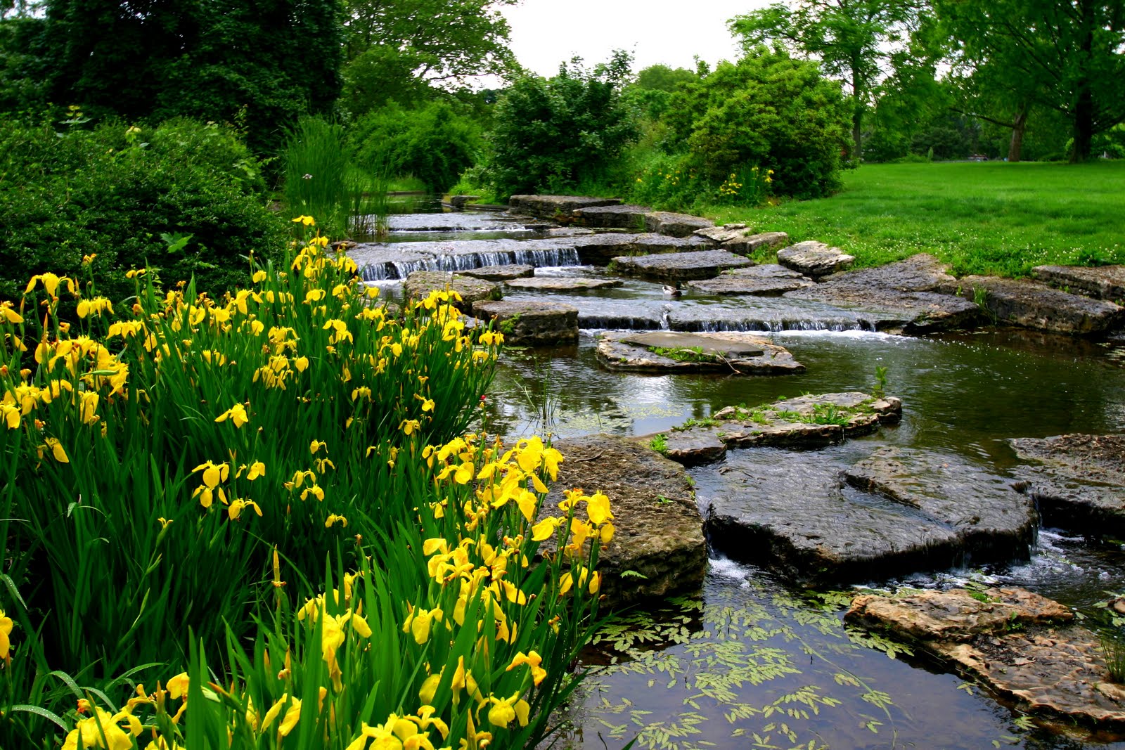 Where in Columbus? Beautiful Gardens and Flowers of Columbus