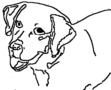 Dog+pictures+to+colour+for+kids