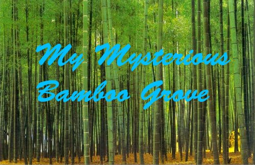 My mysterious bamboo grove.
