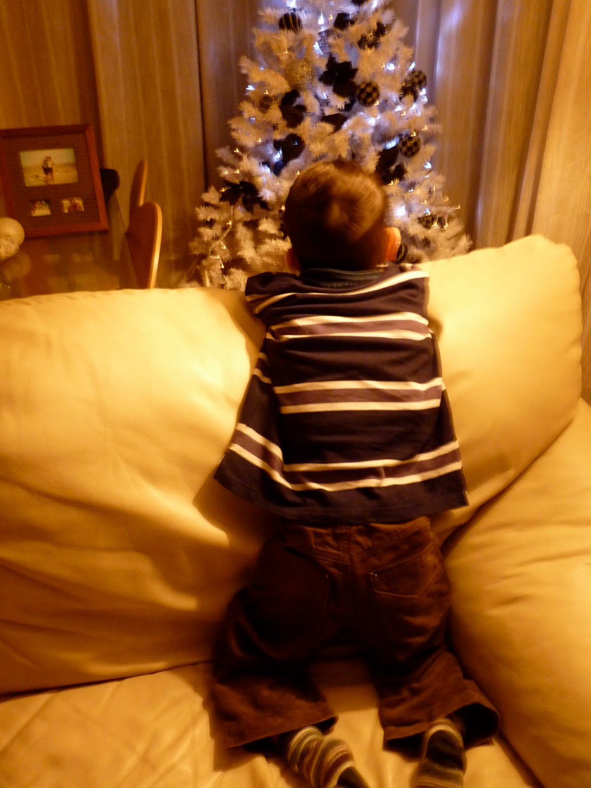 [P1000610.jpg]