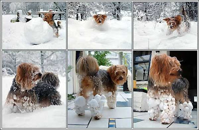 Фотоподборка прикольных и смешных фото