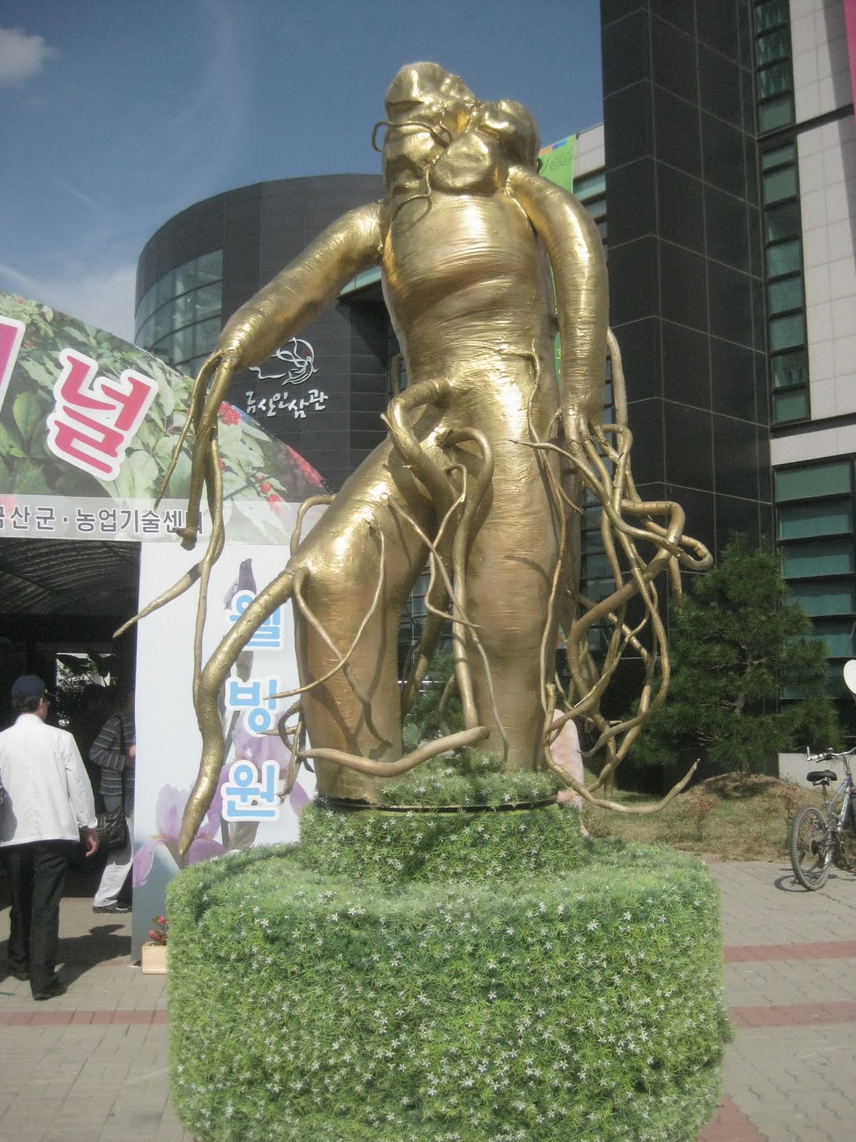 [IMG_8264.JPG]