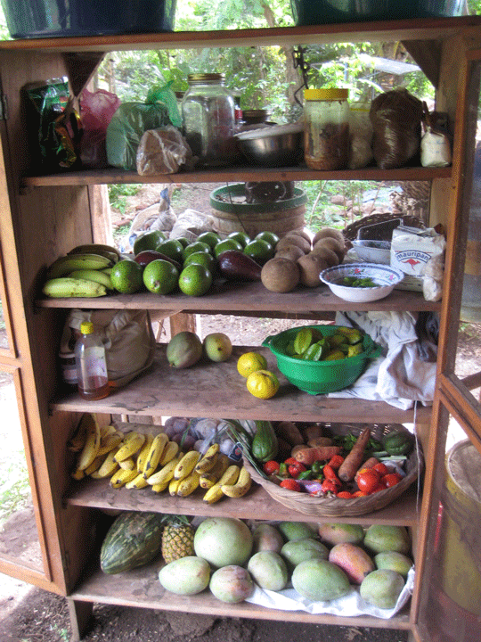 [BF_Food_Safe_Abundance.gif]