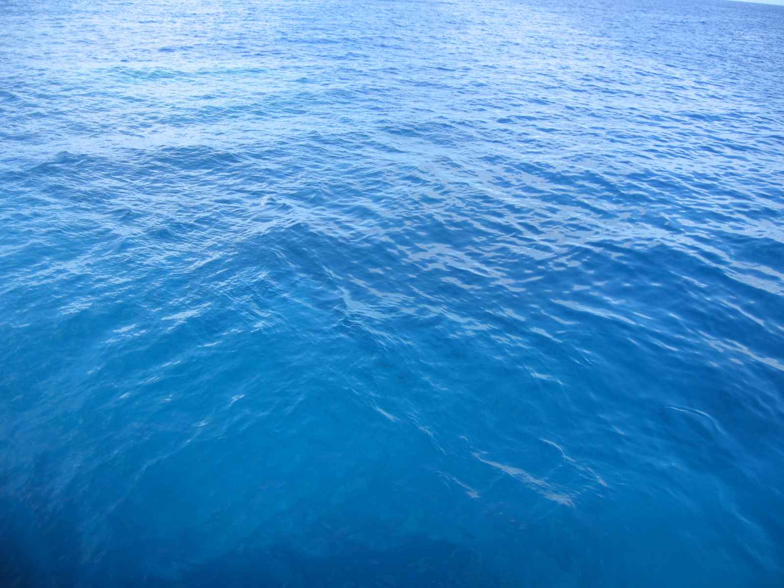 http://4.bp.blogspot.com/_OJsWo9ijhWY/S6whctnHYFI/AAAAAAAAABQ/f_U4hUi0dPE/s1600/diving_ocean+free+wallpaper.jpg