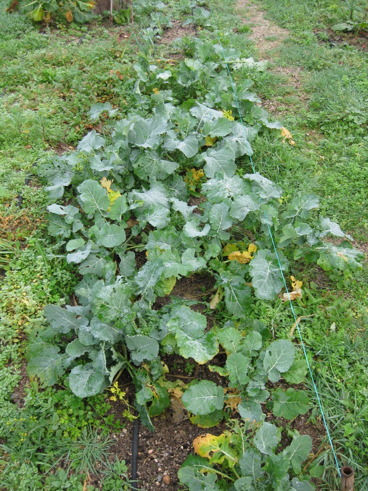 [20100123-056.jpg]