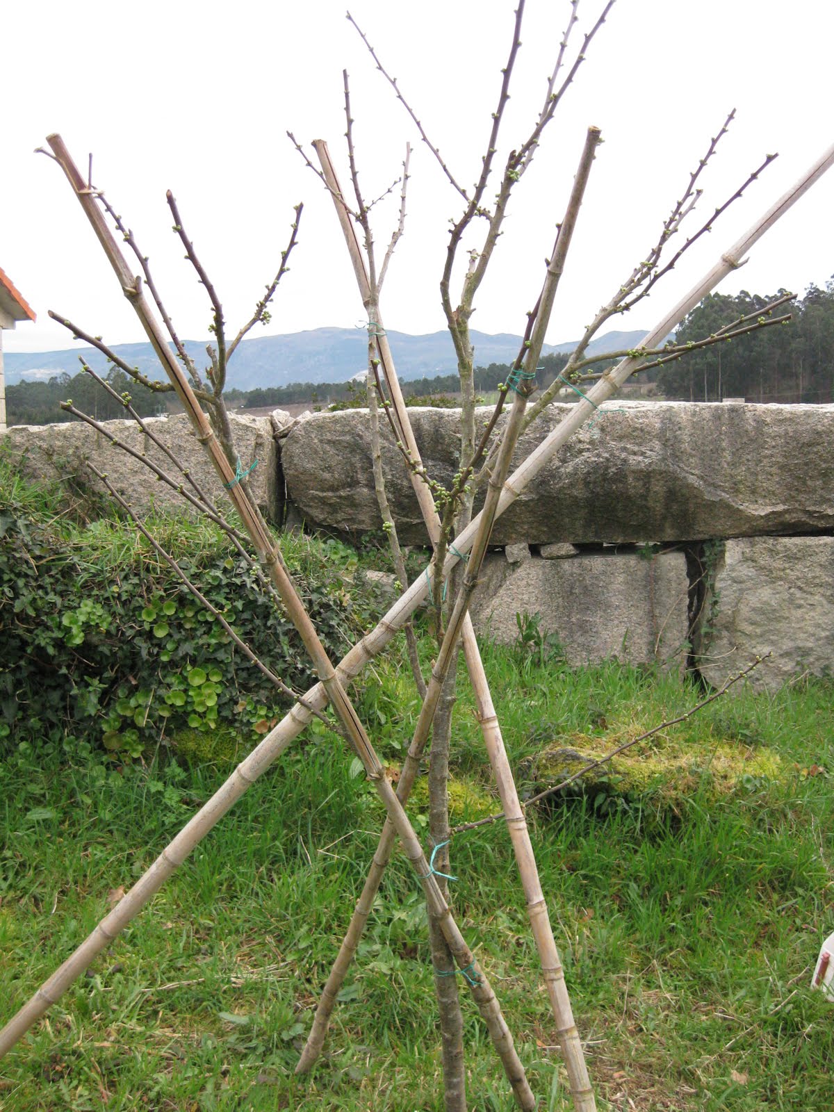 [ofedellas+20100302-006.jpg]