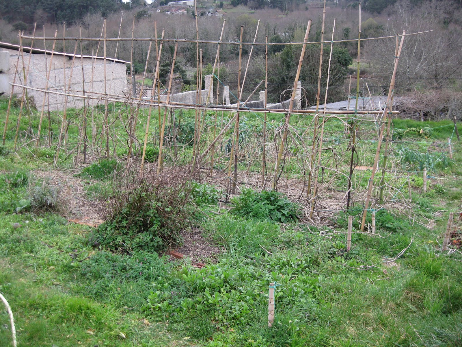 [ofedellas+20100302-010.jpg]
