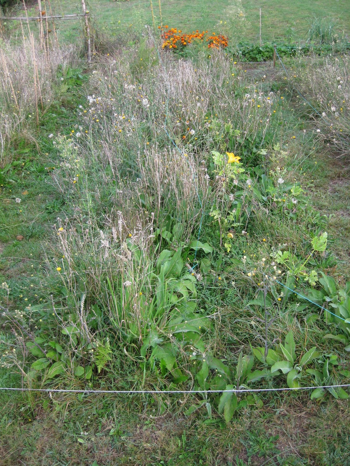 [20081011+003.jpg]