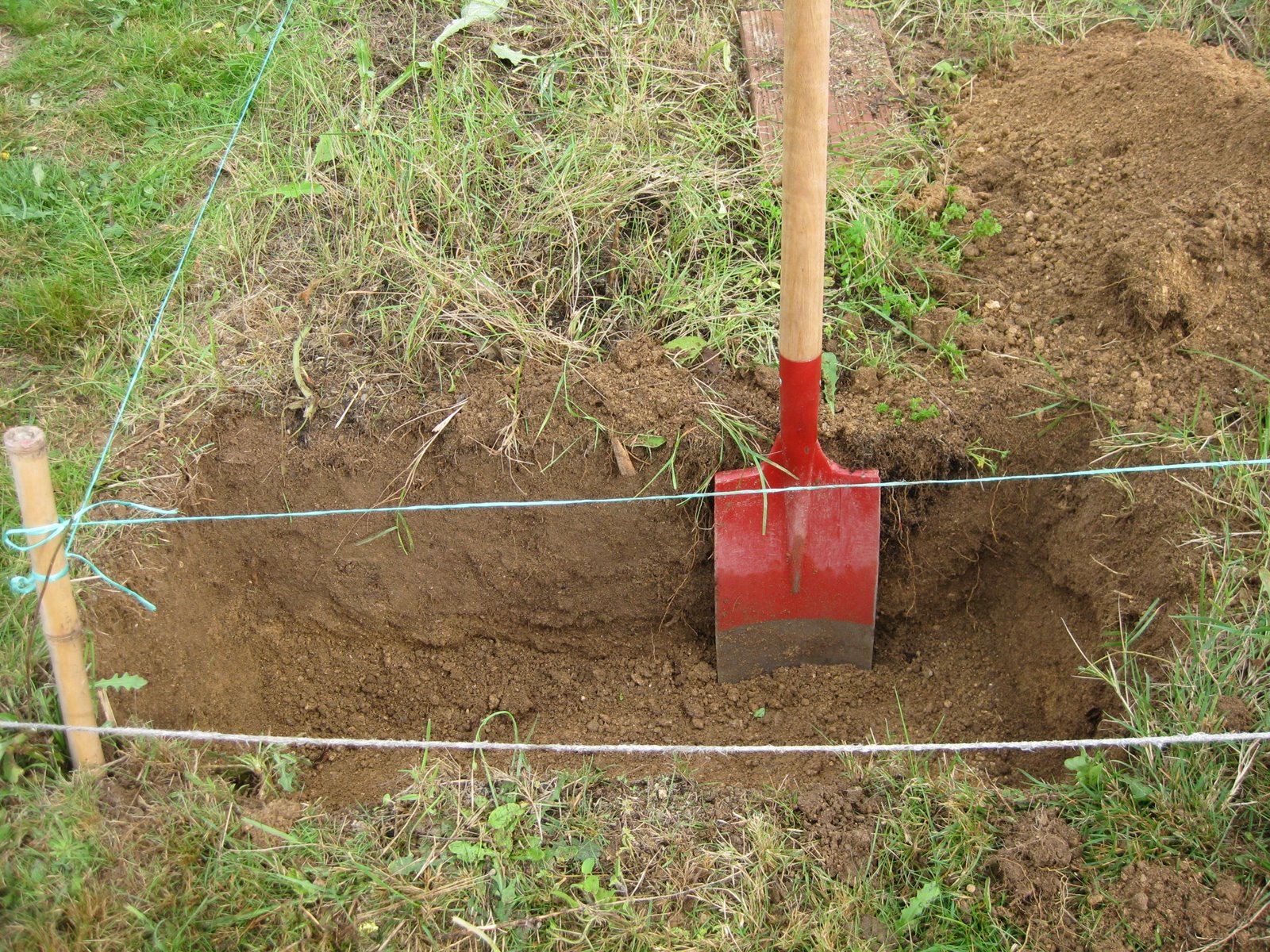 [20081011+012.jpg]