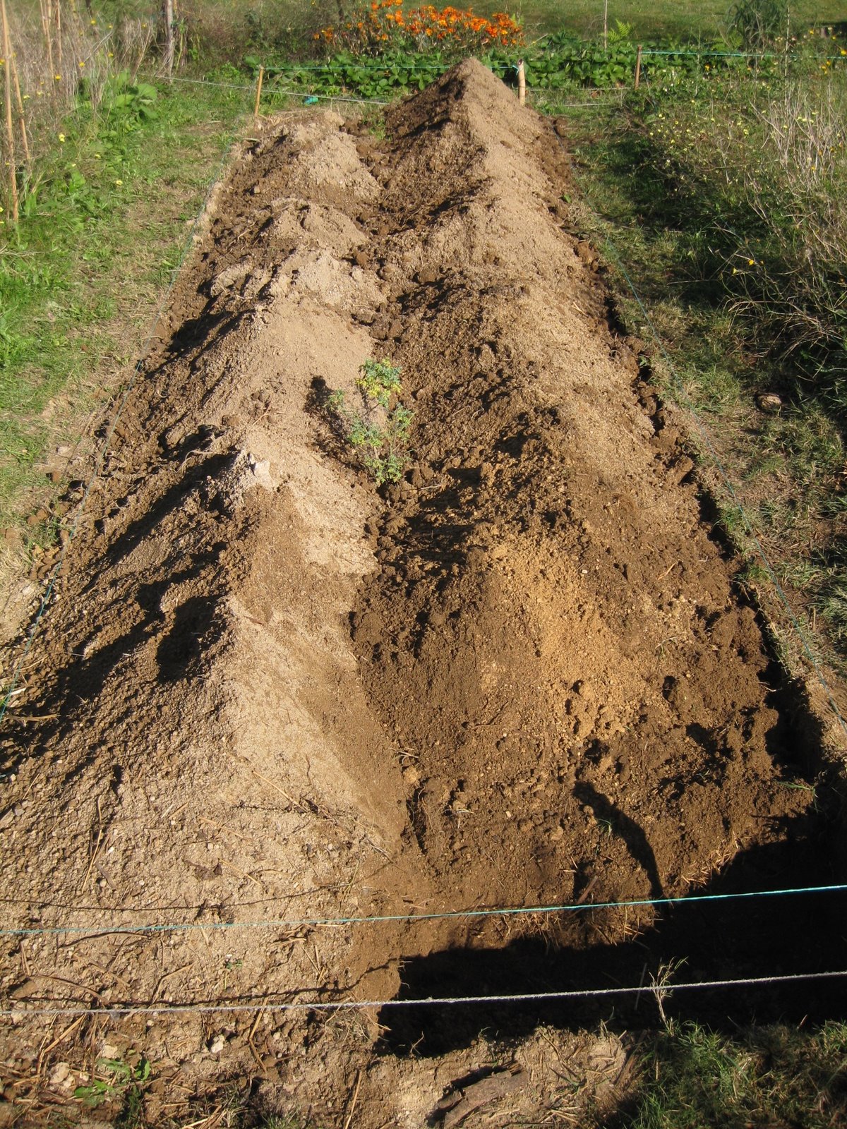 [20081025+007.jpg]