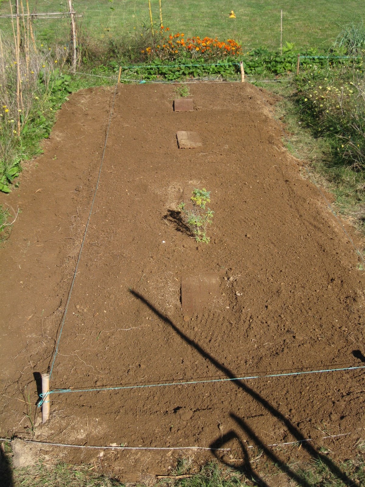 [20081025+010.jpg]