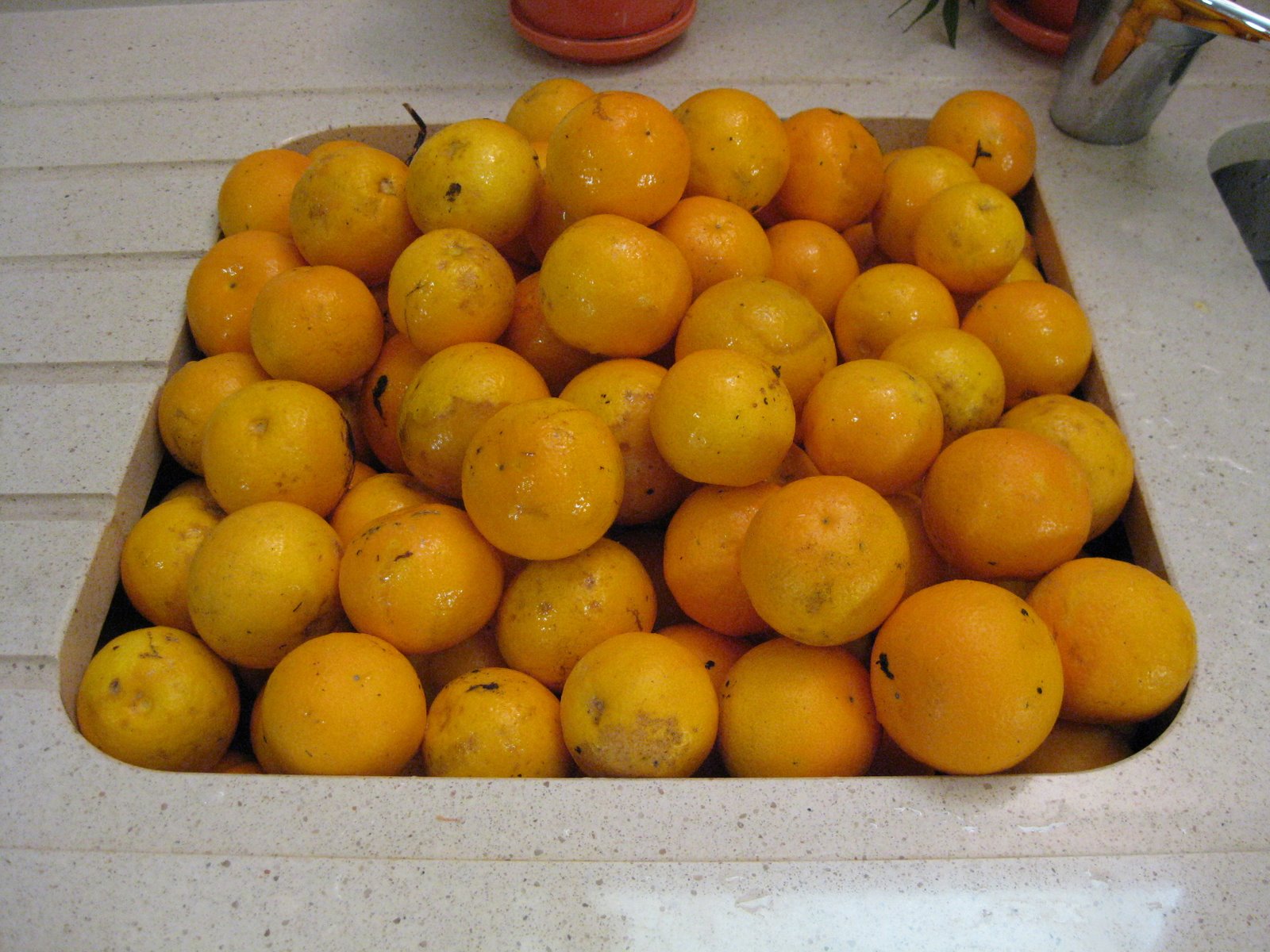 [20090124+001.jpg]