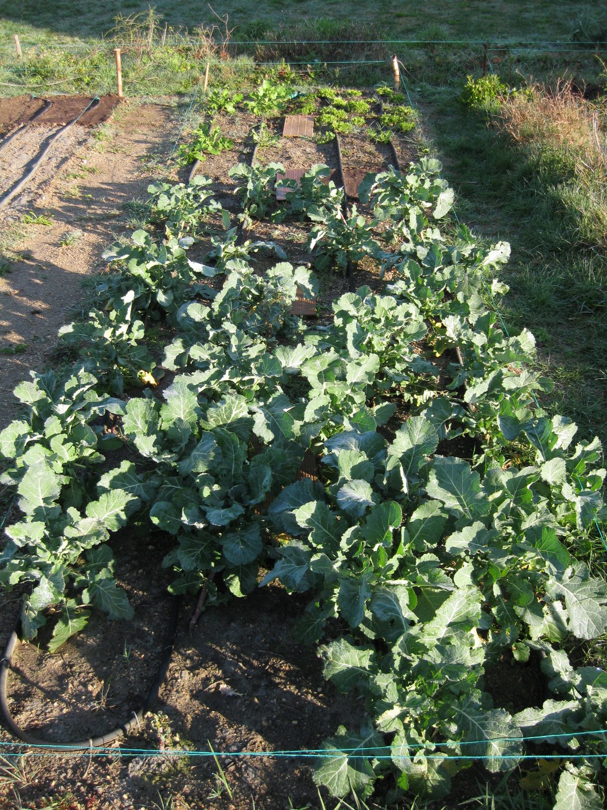 [20090214+002.jpg]