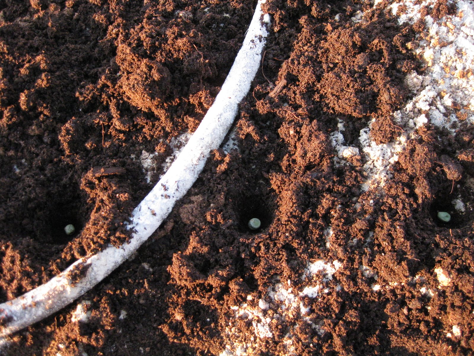 [20090217+005.jpg]