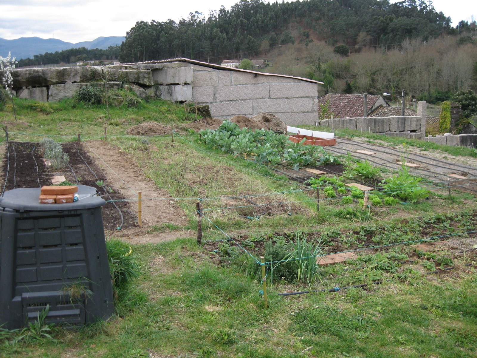 [20090307+021.jpg]